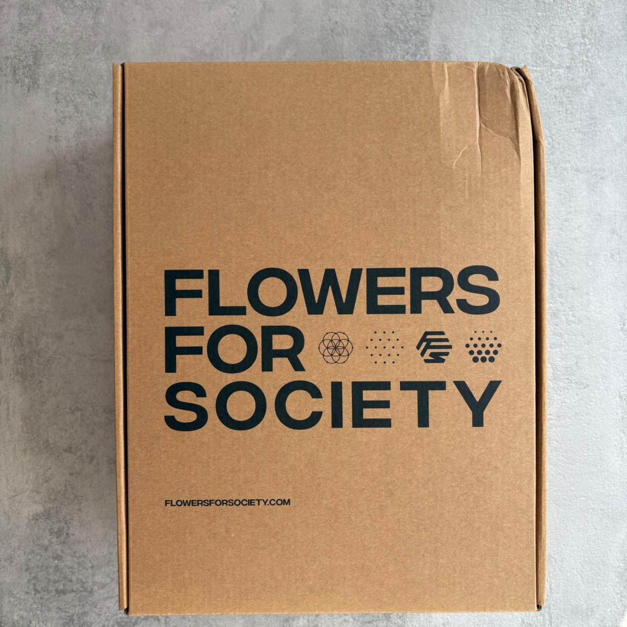 FLOWERS FOR SOCIETY / SEED.ONE DAISY