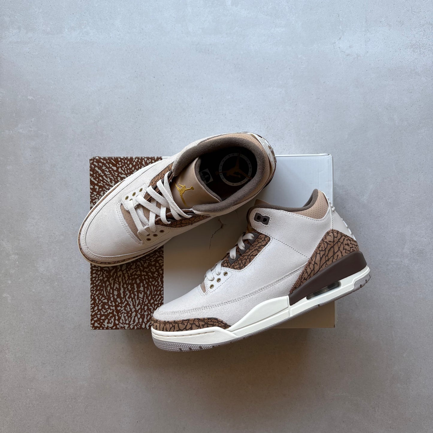 Jordan 3 Retro Palomino