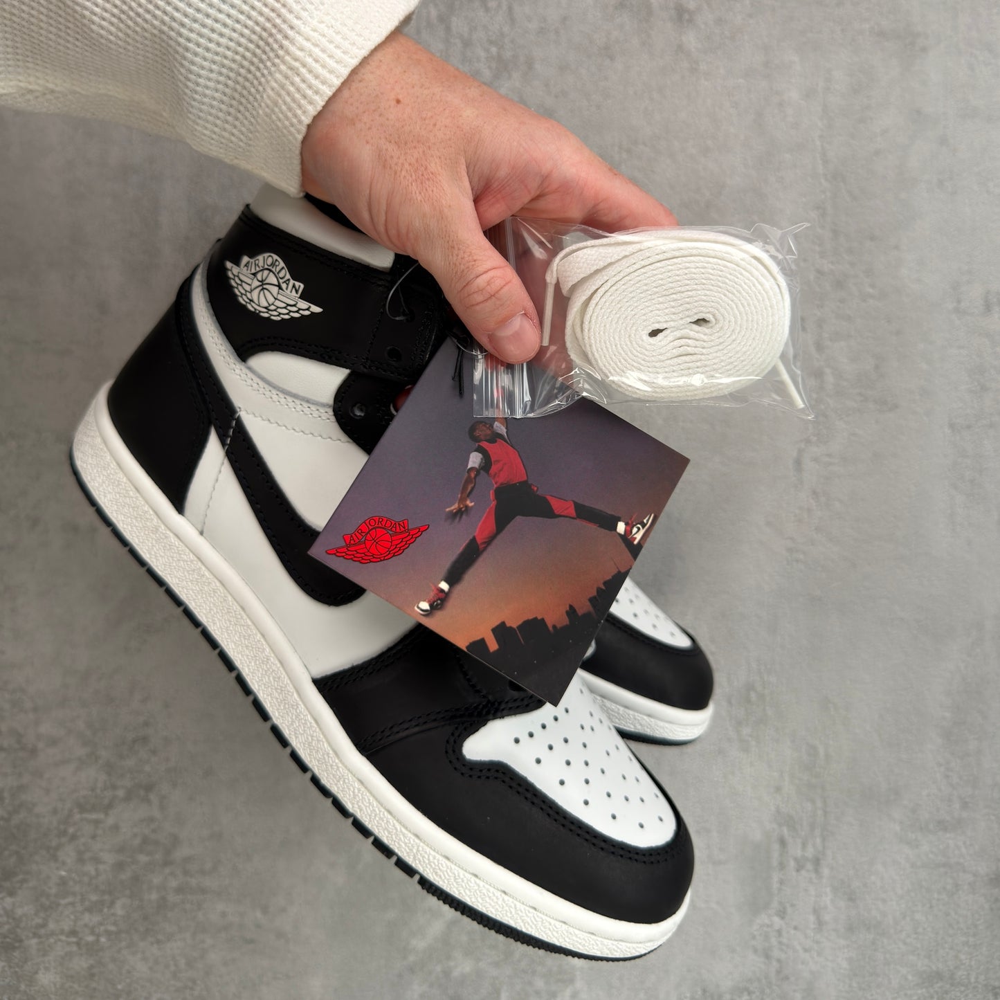 Air Jordan 1 High OG Black White (Panda)